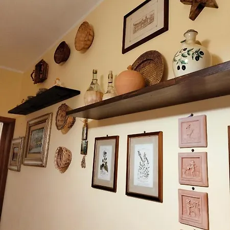 Sunnyside Accademia Livorno