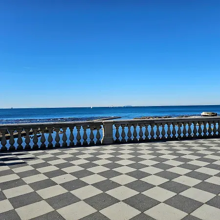 Sunnyside Accademia Livorno